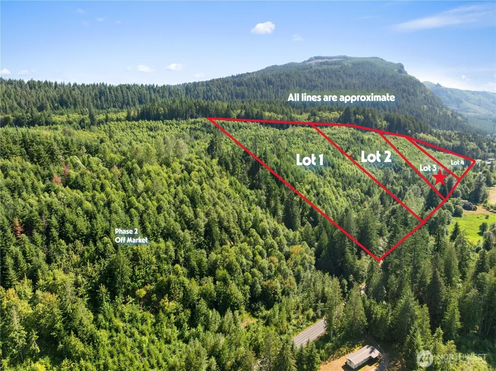 3 Skinner Road Randle, WA 98377