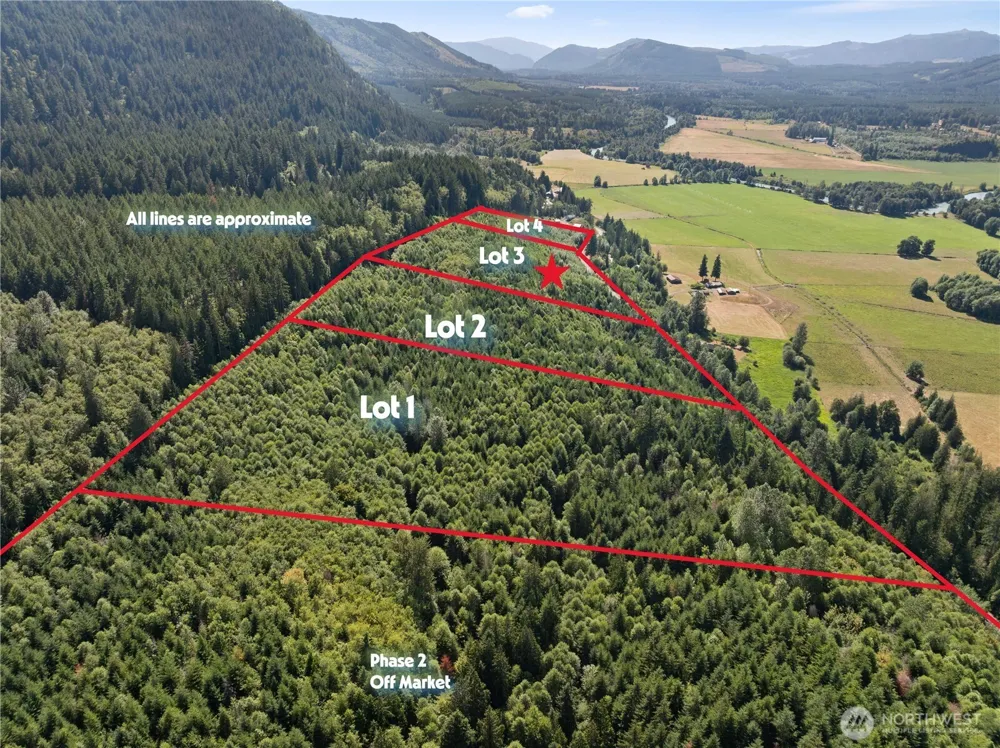 3 Skinner Road Randle, WA 98377