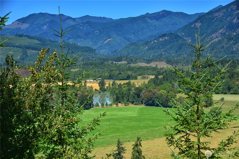 3 Skinner Road Randle, WA 98377
