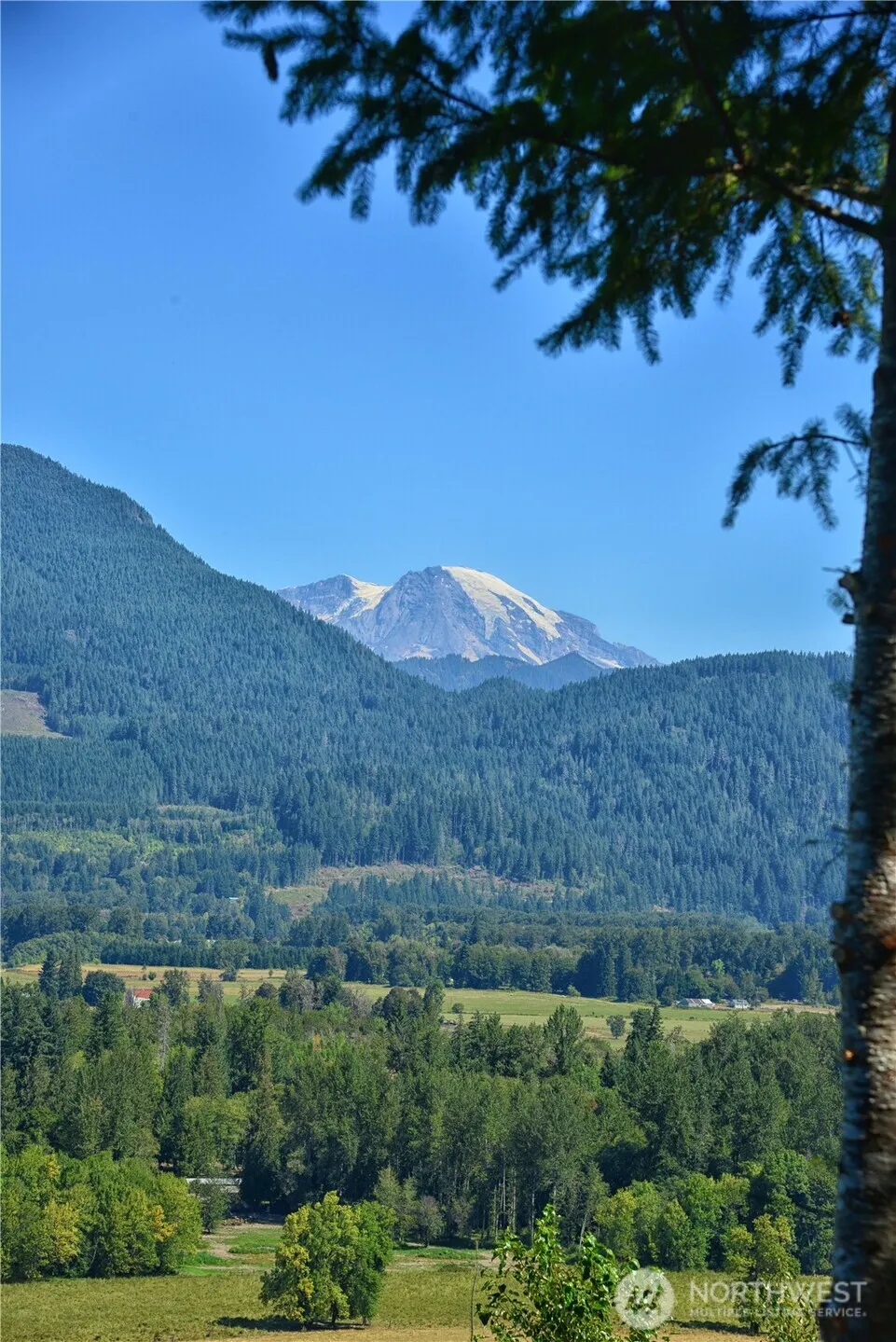3 Skinner Road Randle, WA 98377