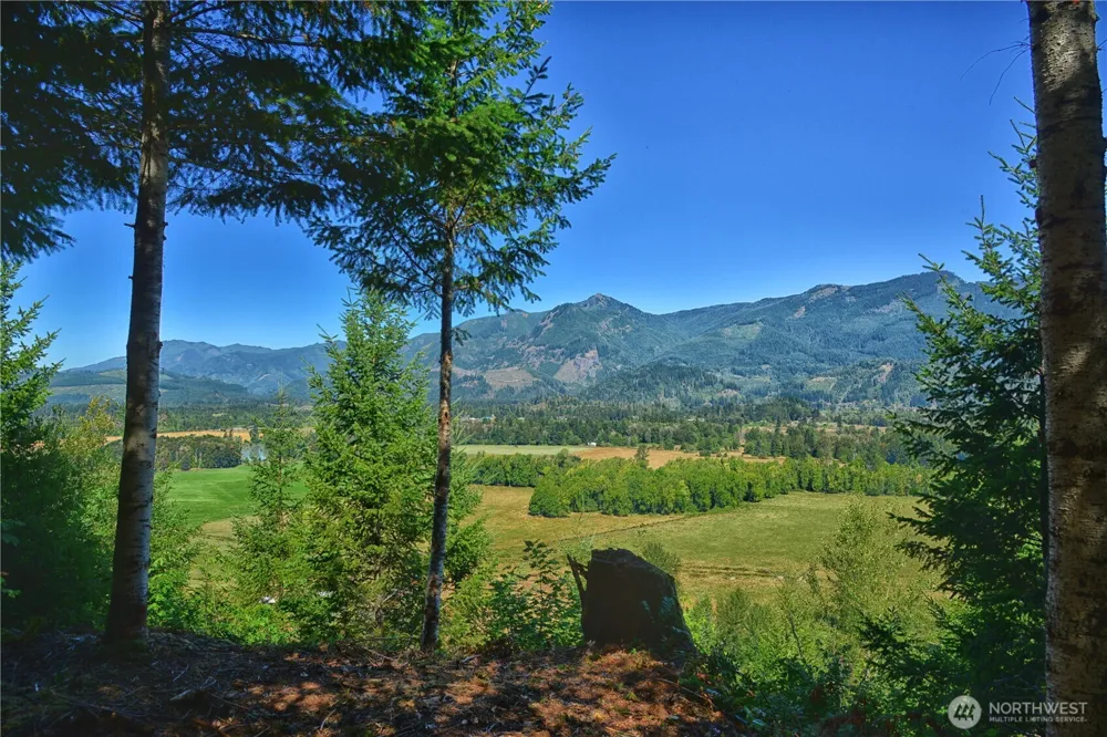 3 Skinner Road Randle, WA 98377