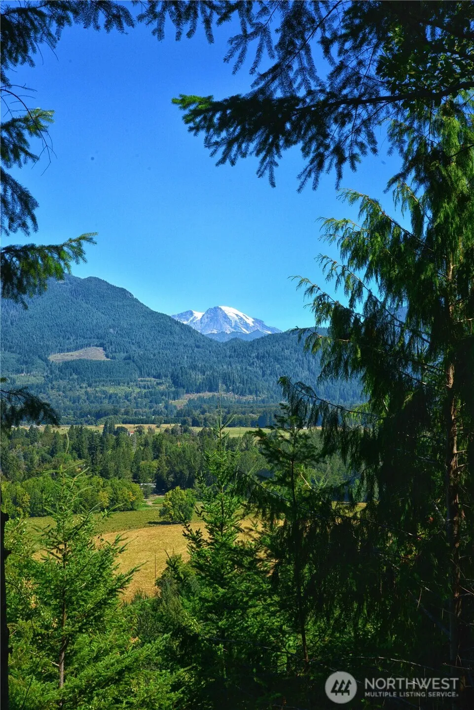 3 Skinner Road Randle, WA 98377