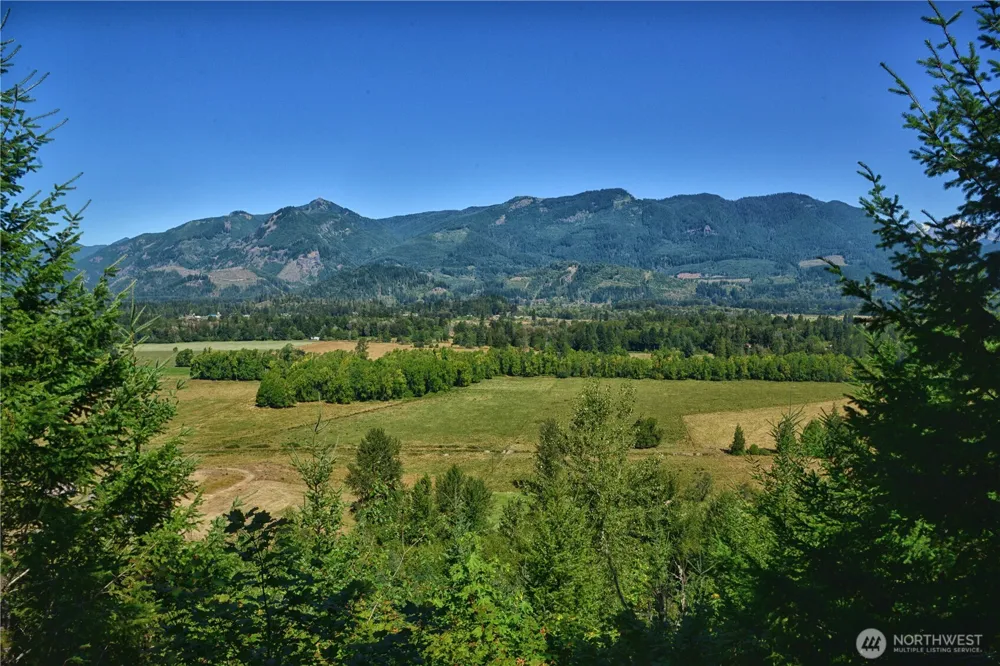 3 Skinner Road Randle, WA 98377