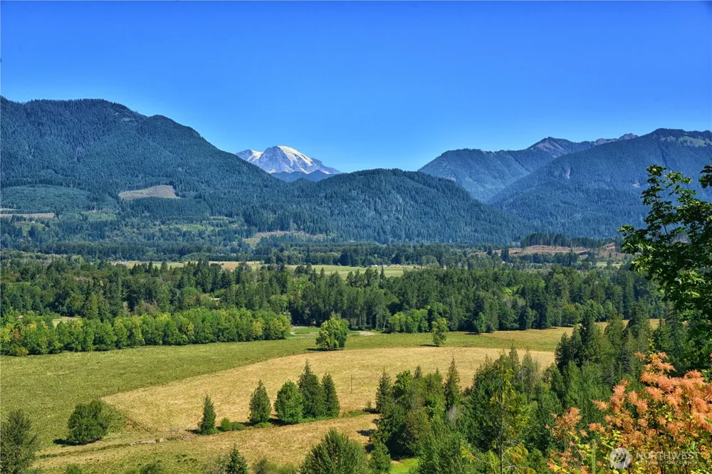 3 Skinner Road Randle, WA 98377