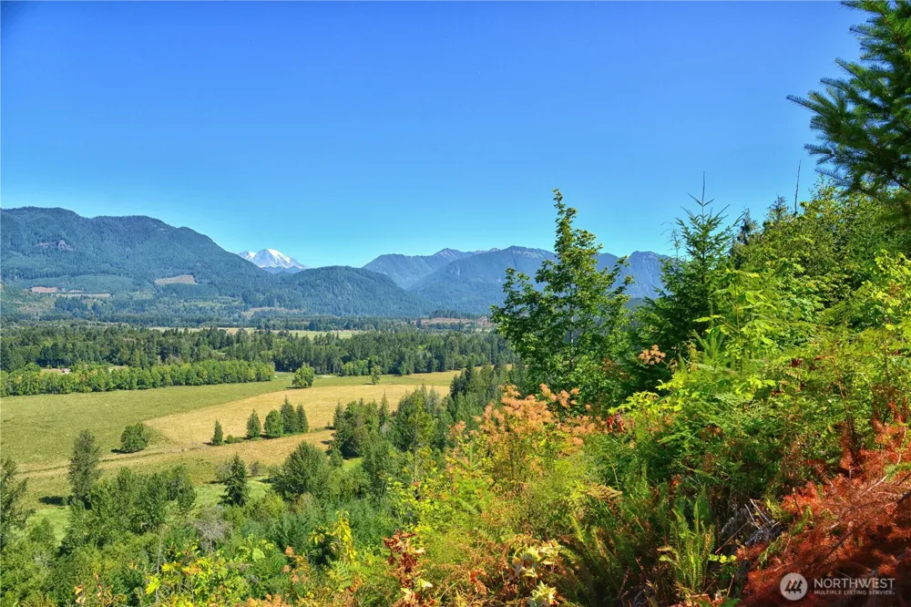 3 Skinner Road Randle, WA 98377