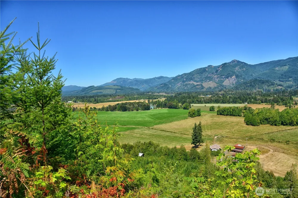3 Skinner Road Randle, WA 98377
