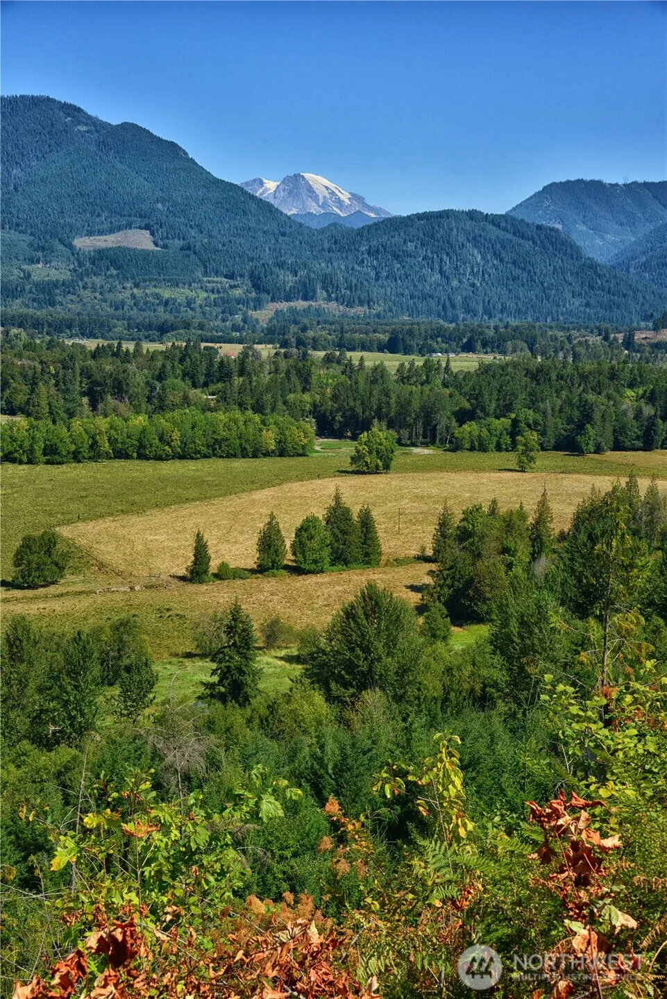 3 Skinner Road Randle, WA 98377