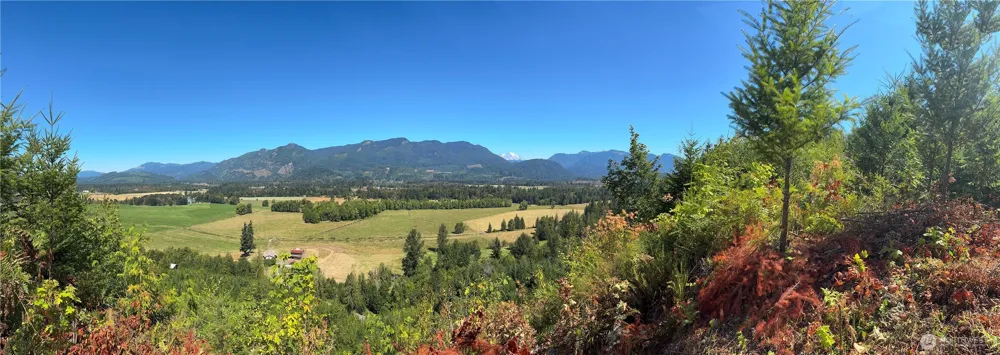 3 Skinner Road Randle, WA 98377