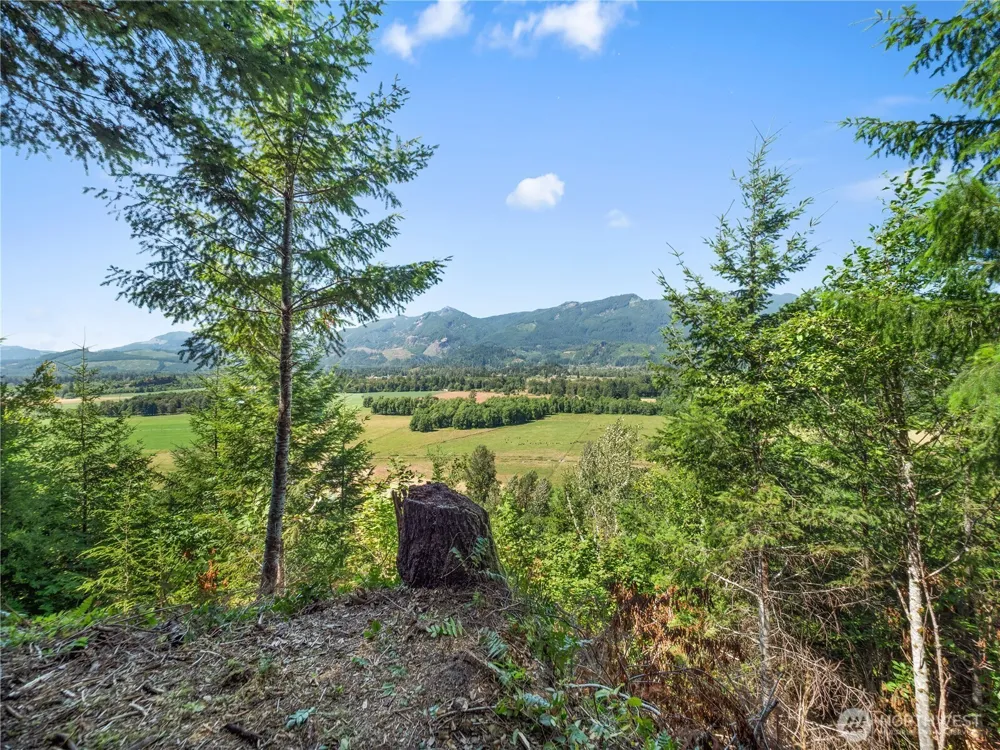 3 Skinner Road Randle, WA 98377
