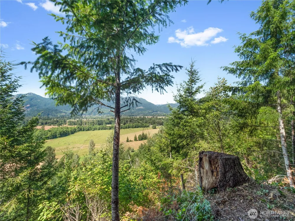 3 Skinner Road Randle, WA 98377