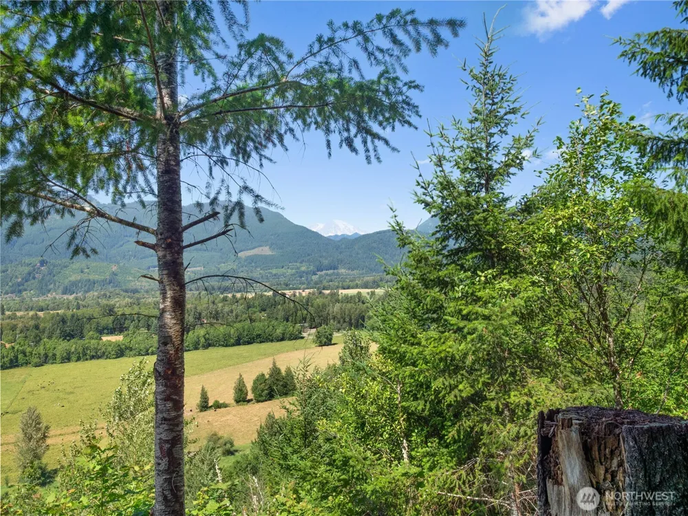 3 Skinner Road Randle, WA 98377