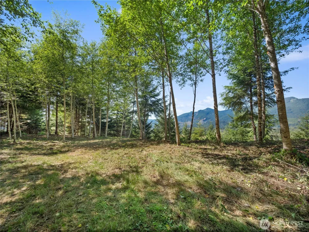 2 Skinner Road Randle, WA 98377