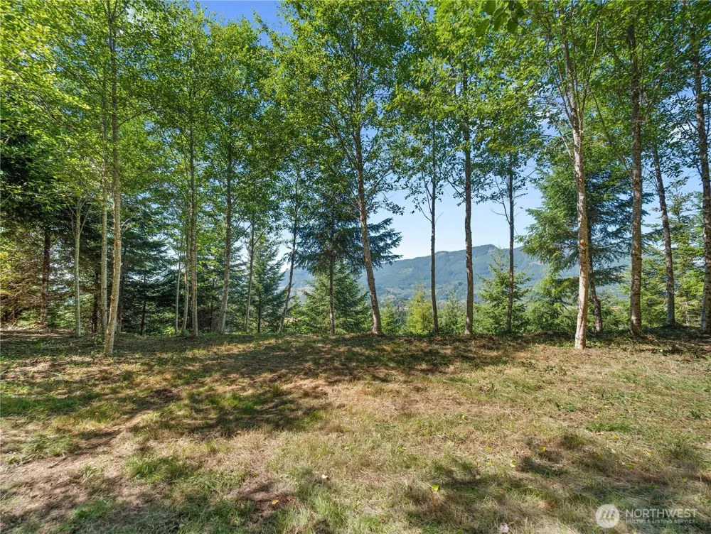 2 Skinner Road Randle, WA 98377