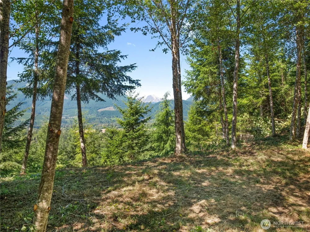 2 Skinner Road Randle, WA 98377