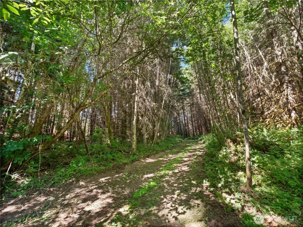 2 Skinner Road Randle, WA 98377