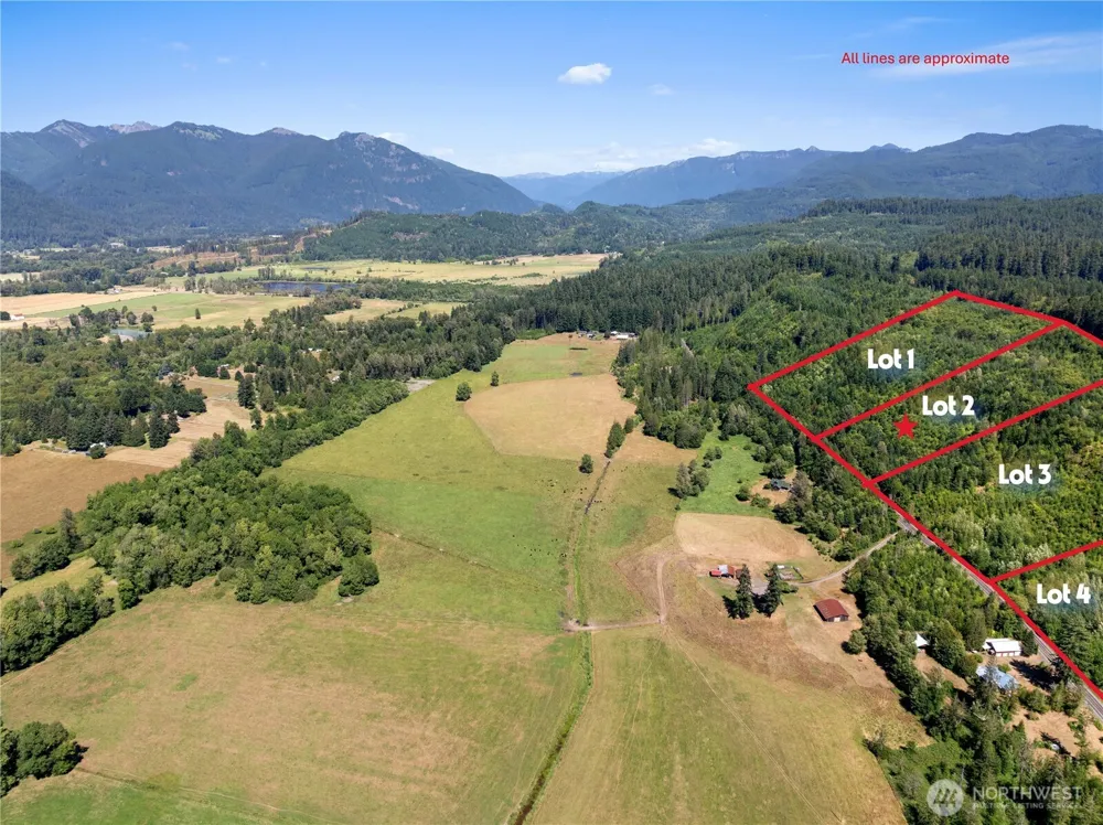 2 Skinner Road Randle, WA 98377