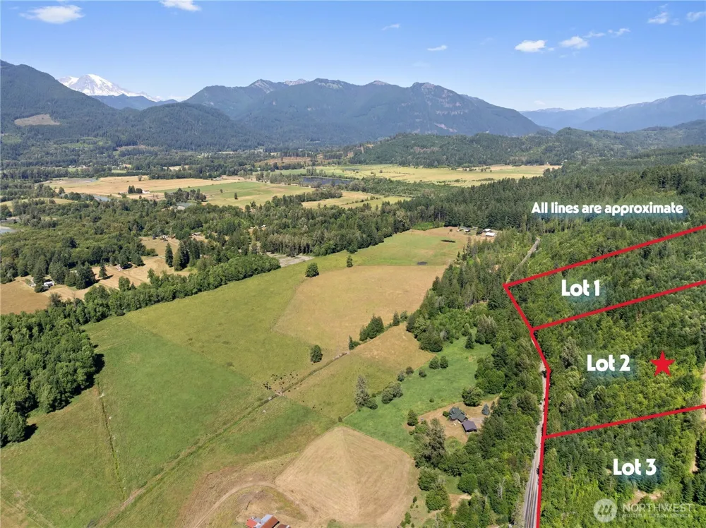 2 Skinner Road Randle, WA 98377