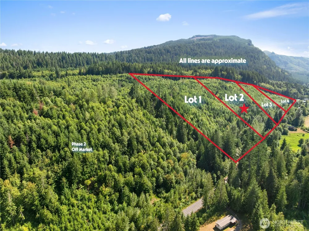 2 Skinner Road Randle, WA 98377