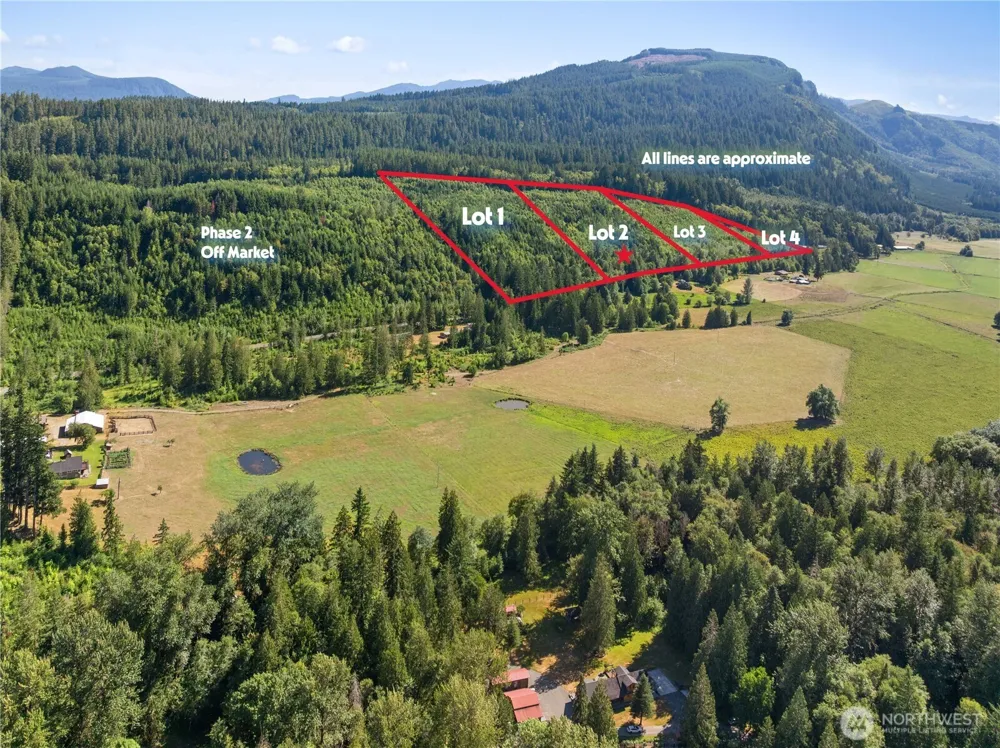 2 Skinner Road Randle, WA 98377