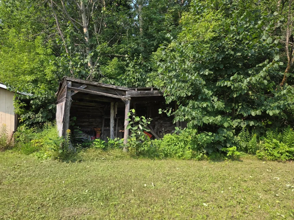 10587 Town Road 34 Mizpah, MN 56660
