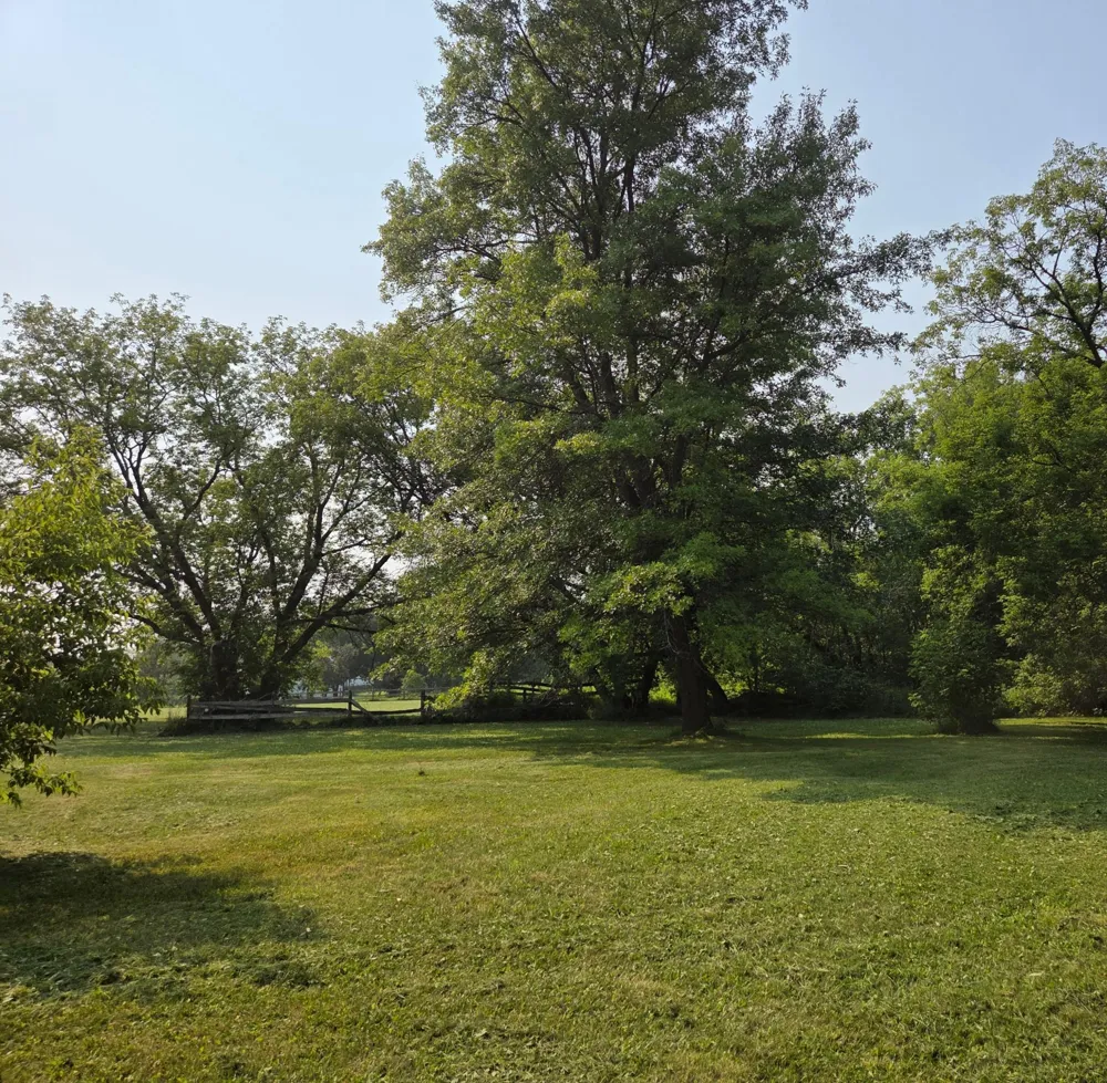 10587 Town Road 34 Mizpah, MN 56660