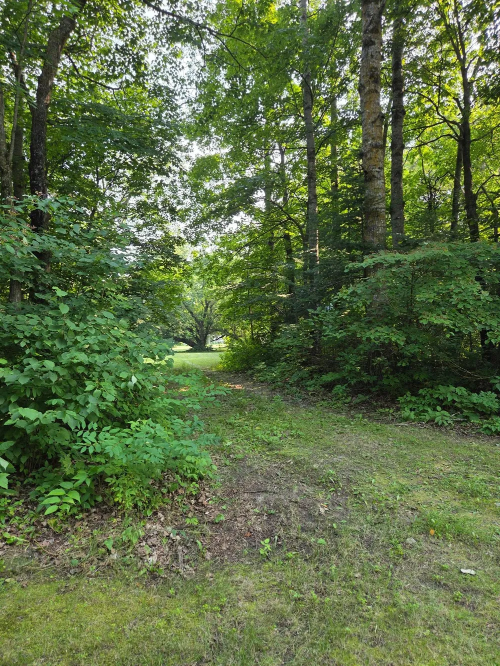 10587 Town Road 34 Mizpah, MN 56660