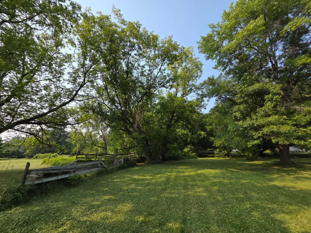 10587 Town Road 34 Mizpah, MN 56660