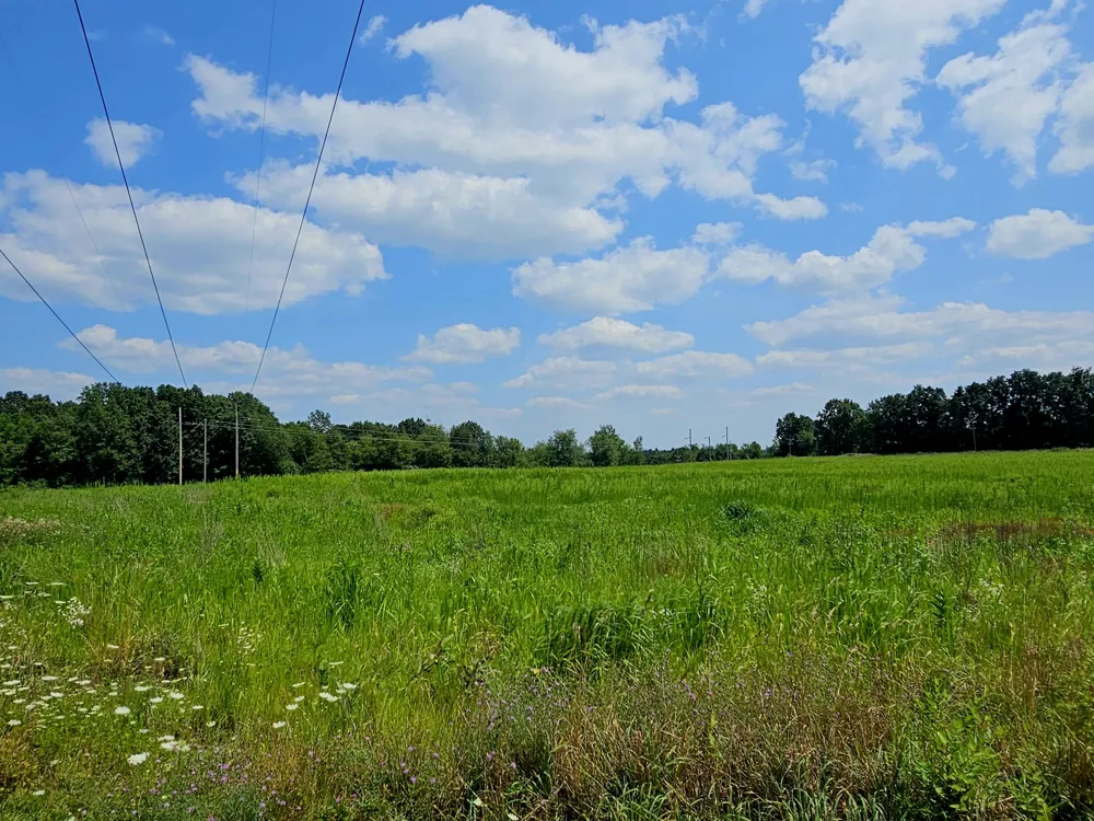 W Carleton Road Jonesville, MI 49250