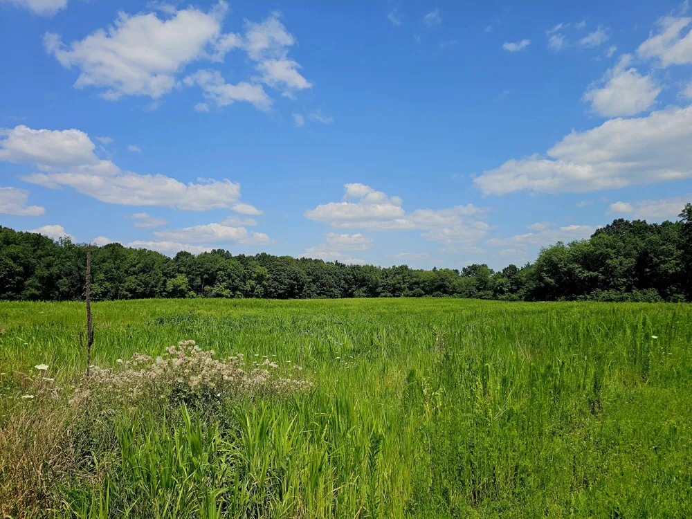 W Carleton Road Jonesville, MI 49250