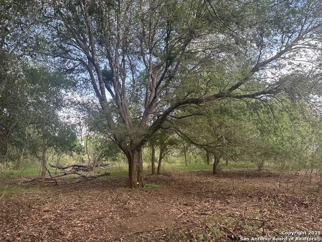 5440 Tabberer Poteet, TX 78065