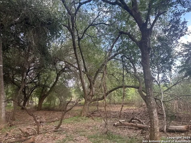 5440 Tabberer Poteet, TX 78065