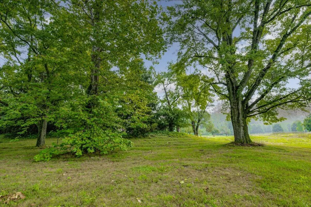 19839 Witt Road Three Oaks, MI 49128