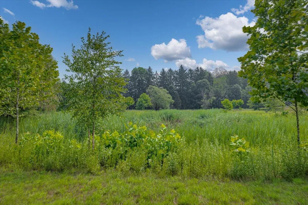 19839 Witt Road Three Oaks, MI 49128