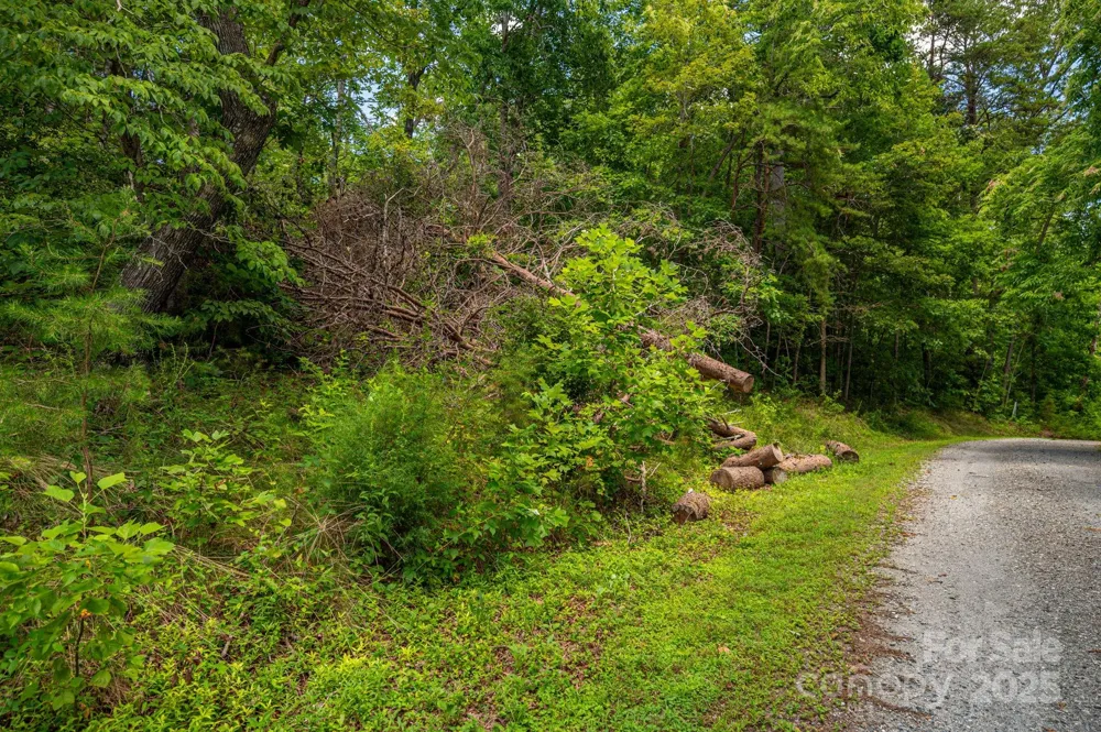 Lot 208 Plantation Drive Rutherfordton, NC 28139