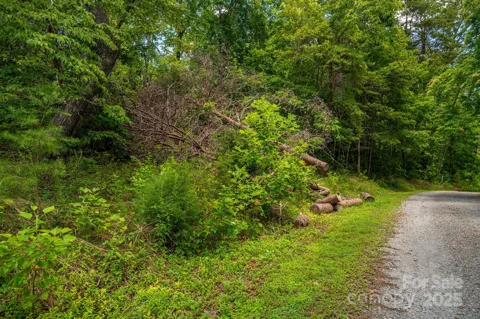 Lot 208 Plantation Drive