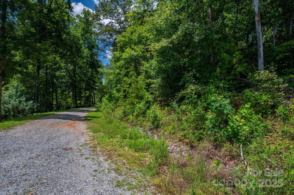 Lot 208 Plantation Drive Rutherfordton, NC 28139
