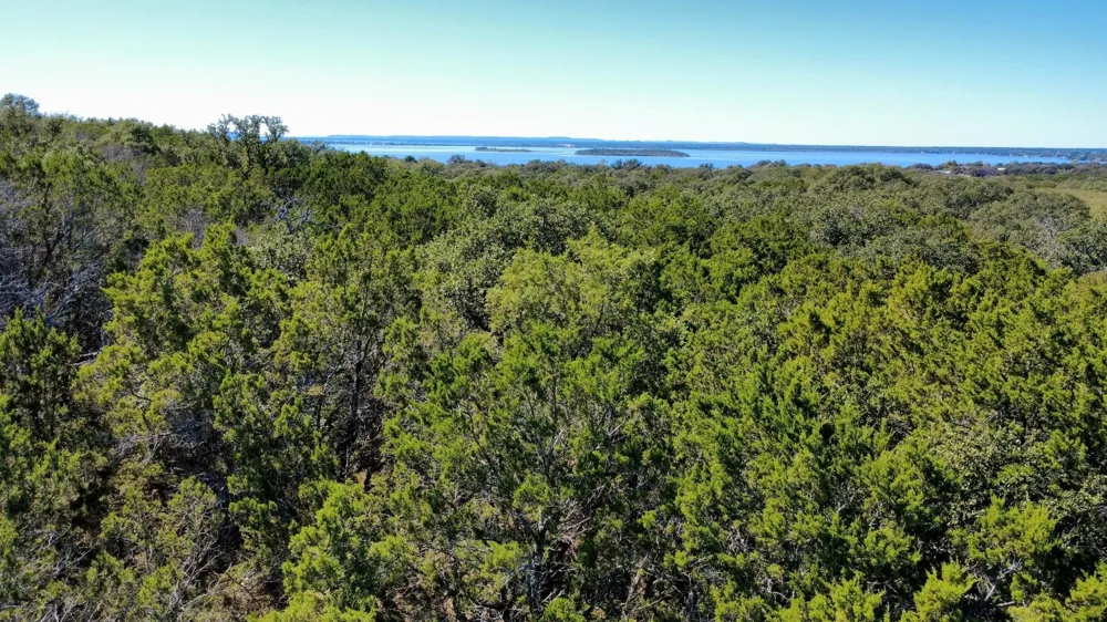 Forest Drive Burnet, TX 78611