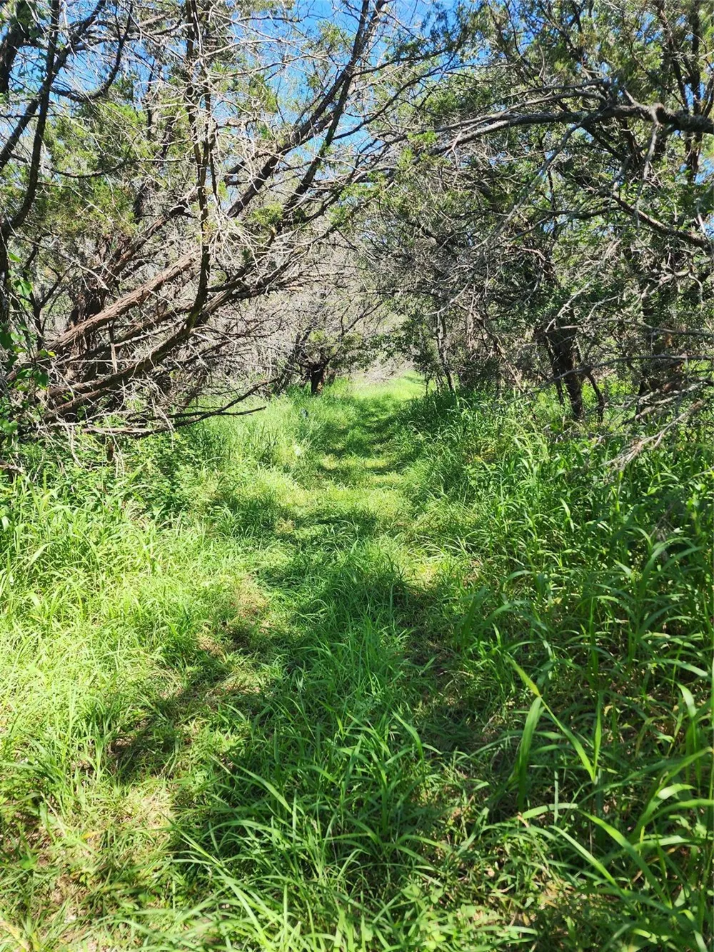 Forest Drive Burnet, TX 78611