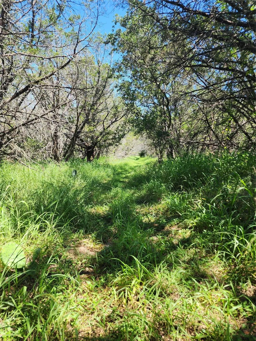 Forest Drive Burnet, TX 78611