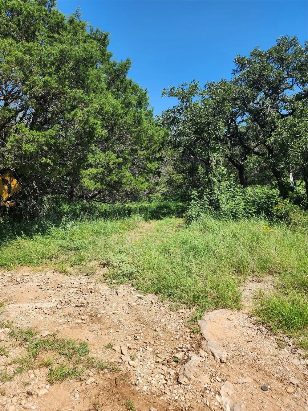 Forest Drive Burnet, TX 78611