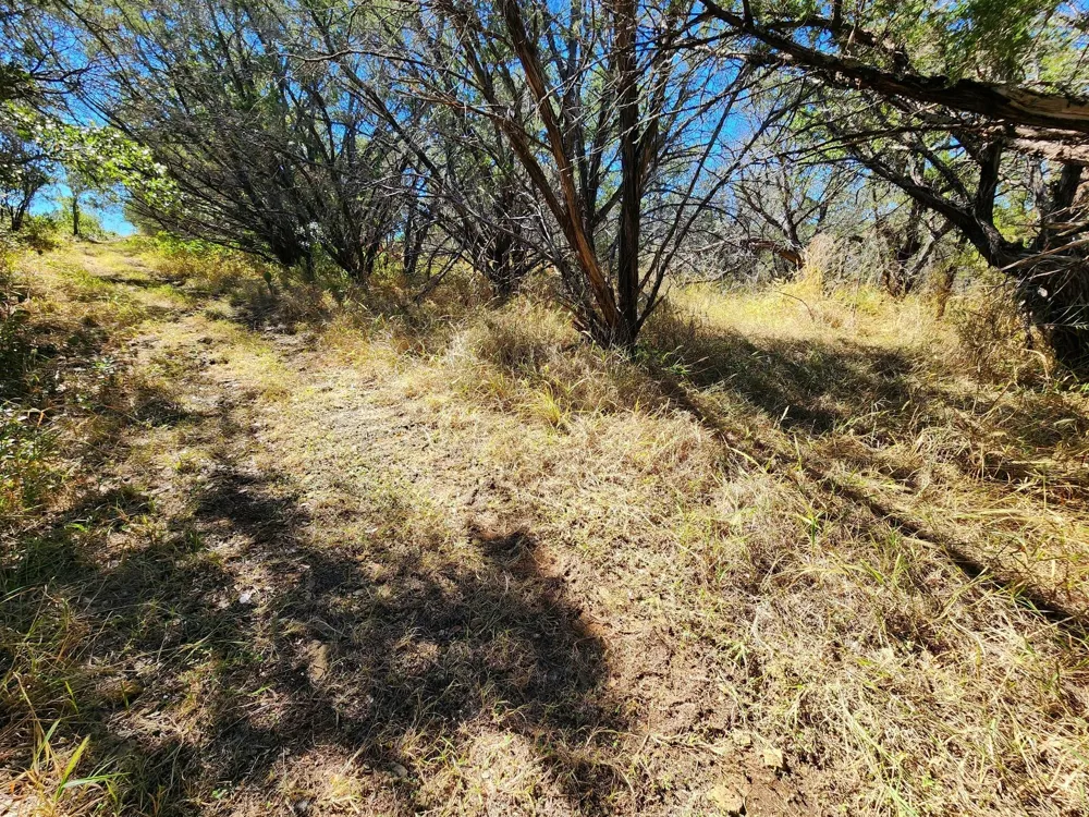 Forest Drive Burnet, TX 78611