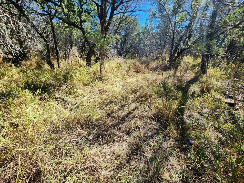 Forest Drive Burnet, TX 78611