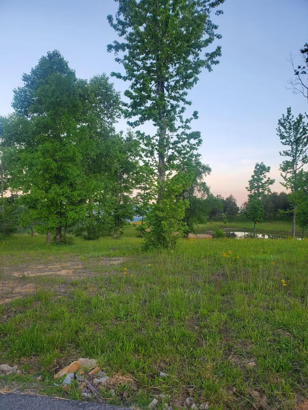 0 Misty View Court Jasper, TN 37347