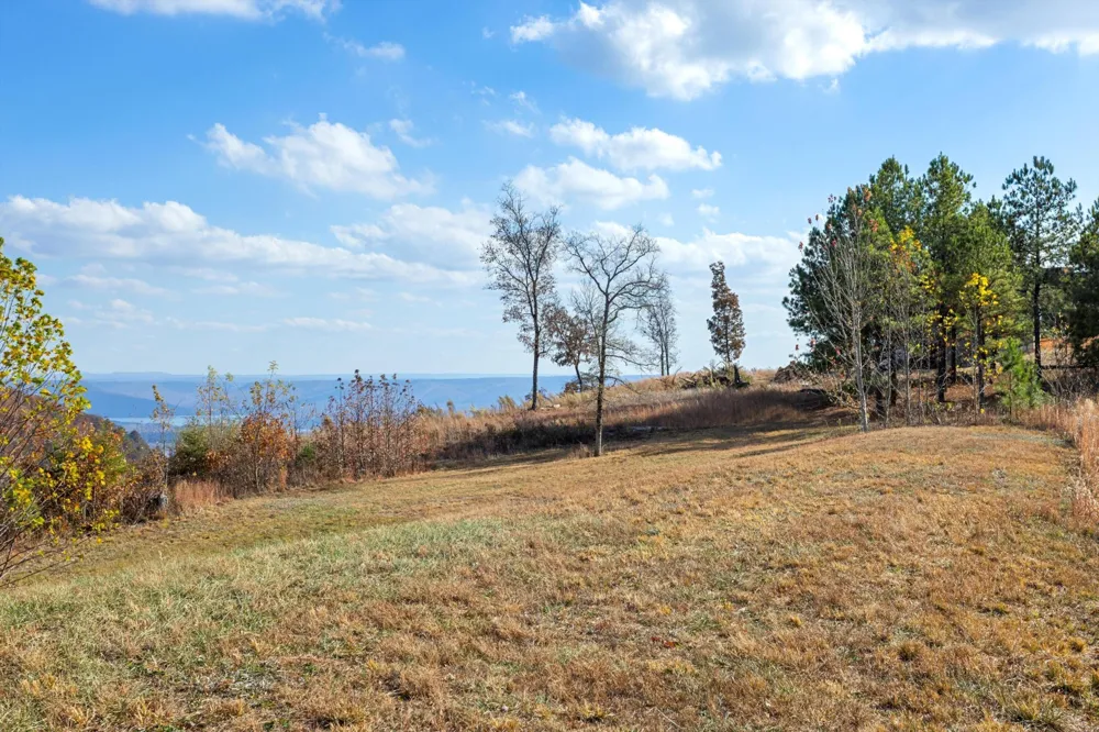 0 Misty View Court Jasper, TN 37347