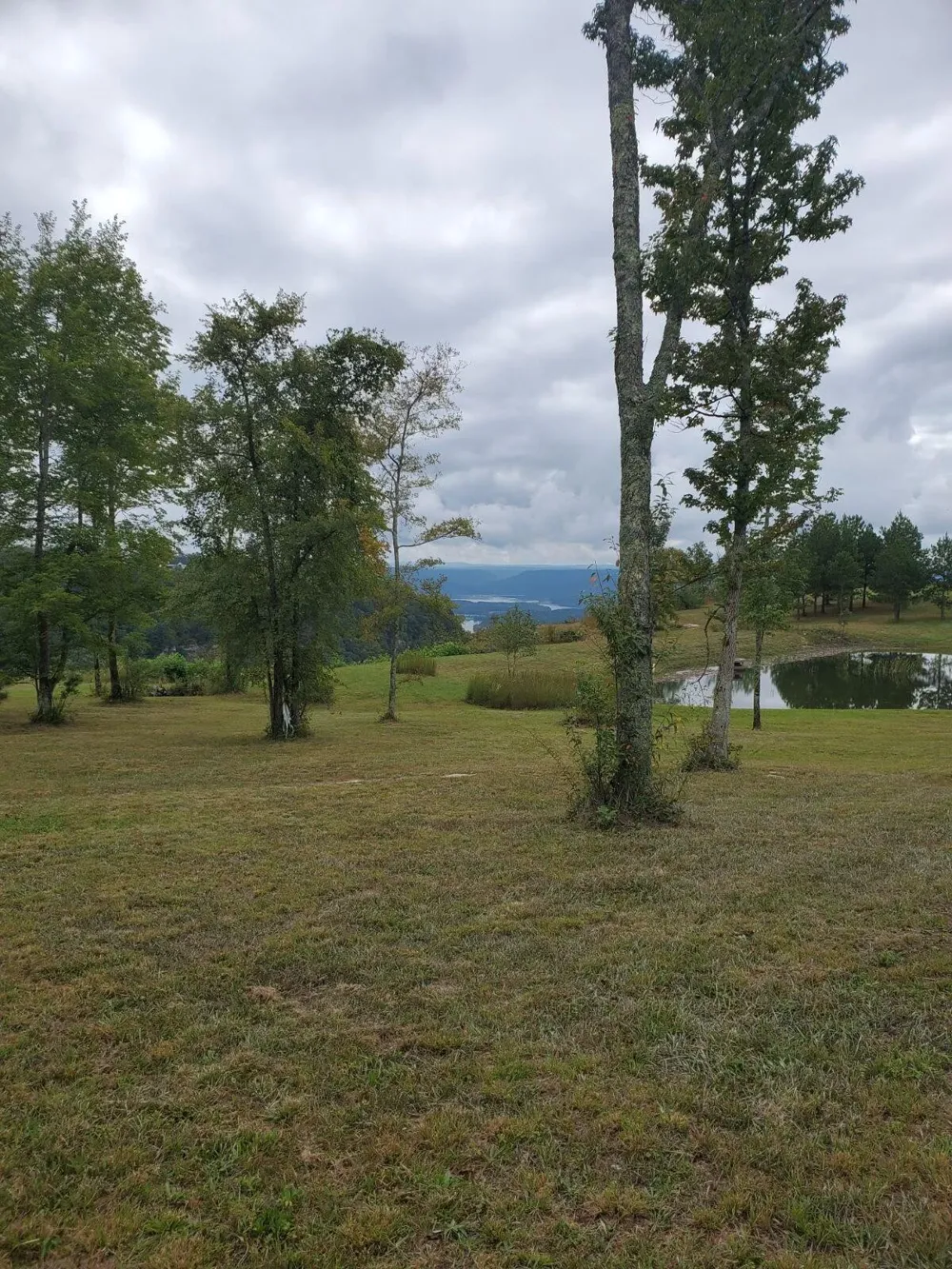 0 Misty View Court Jasper, TN 37347