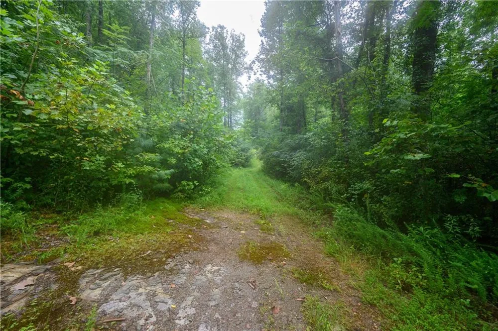 11094 Old 441 S Lakemont, GA 30552