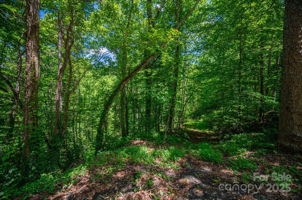 LOT 168 Plantation Drive Rutherfordton, NC 28139