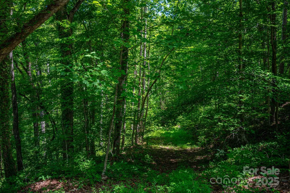 LOT 168 Plantation Drive Rutherfordton, NC 28139