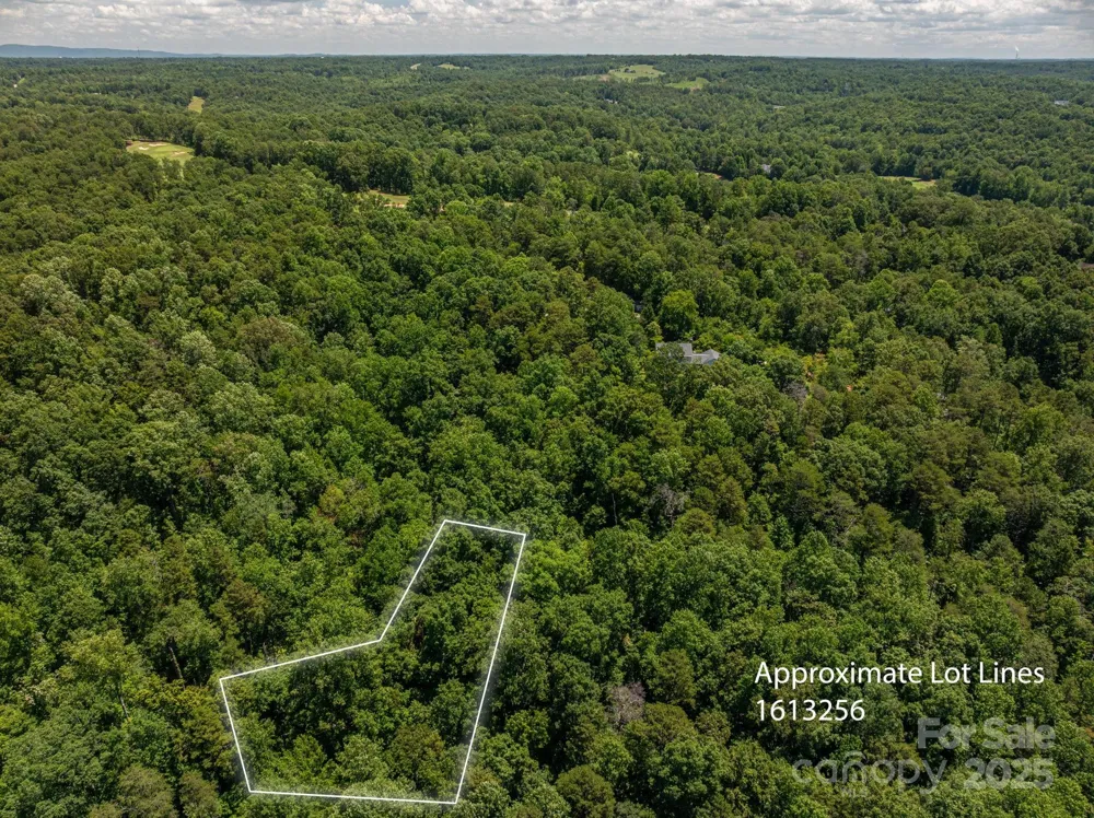 LOT 168 Plantation Drive Rutherfordton, NC 28139