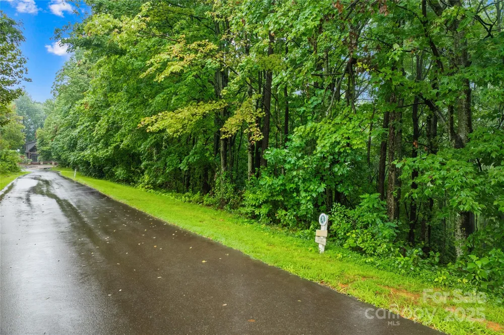 262 Feather Falls Trail #3 Black Mountain, NC 28762